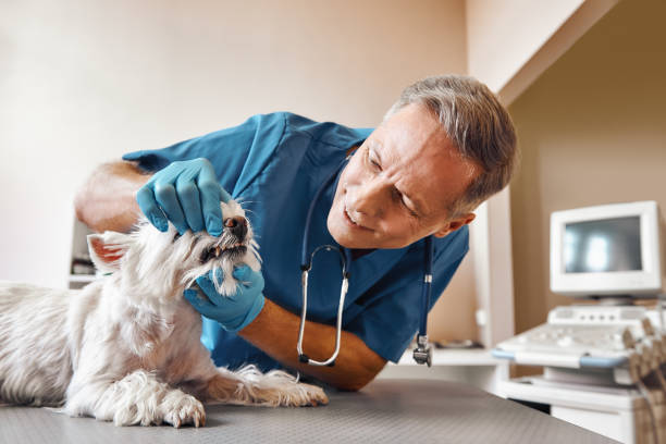 Best Emergency Tooth Extraction in Fredericktown, OH