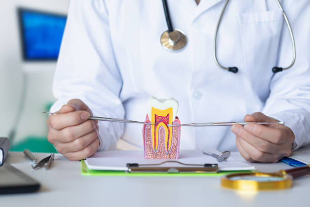 Best Emergency Treatment for Toothache in Fredericktown, OH
